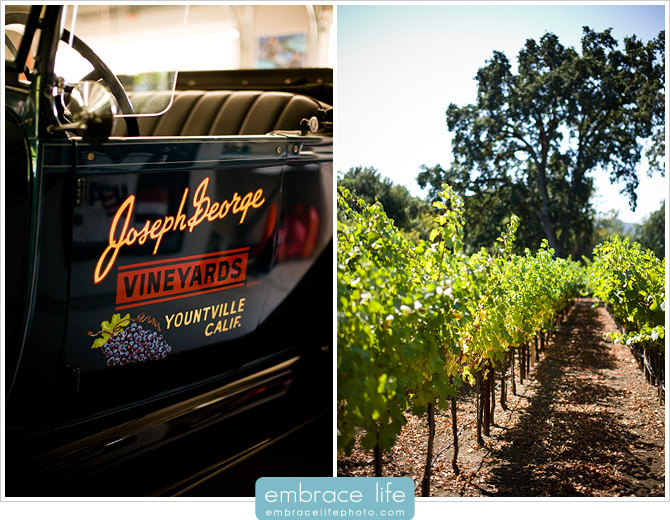 Napa Valley Wedding Photographer - 01