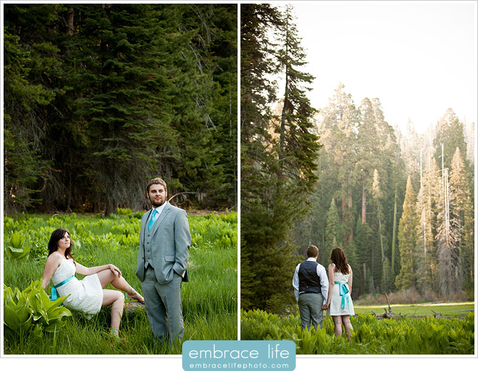 Sequoia Forest Photography - 10