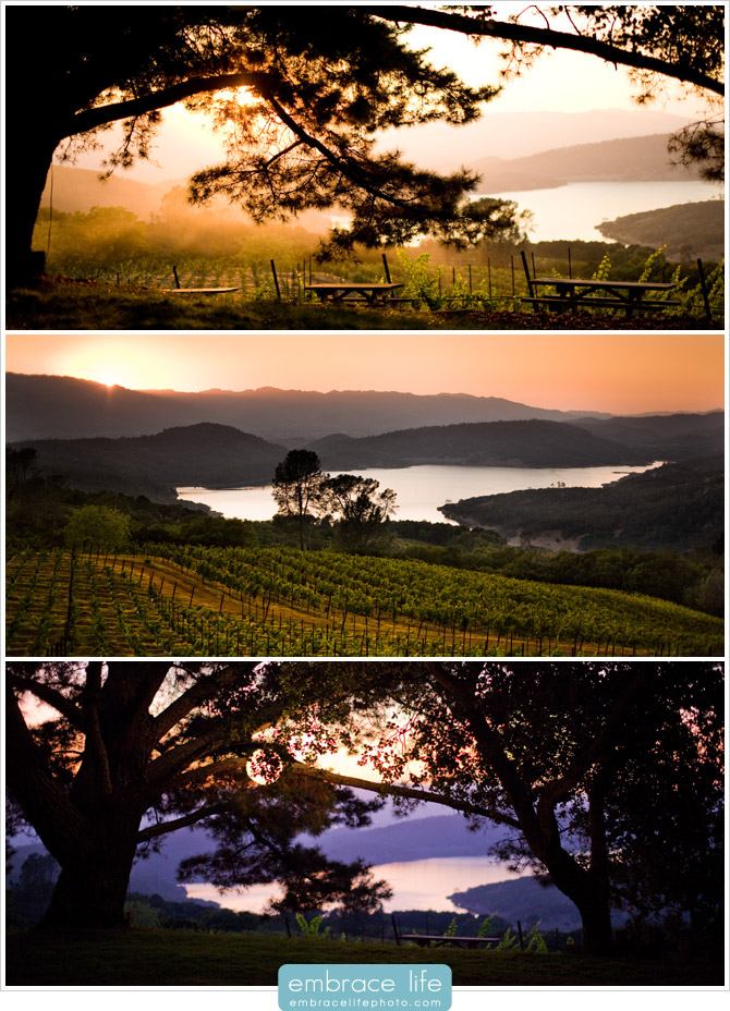 Napa Valley Wedding Photographer - 18