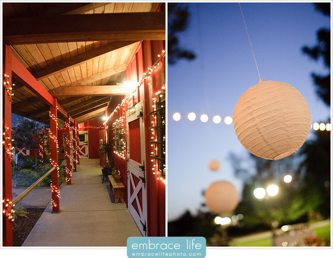 Camarillo Wedding Photographer - 19