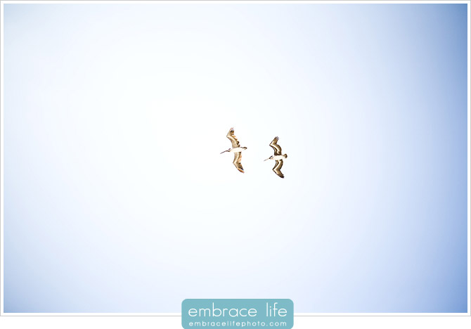 San Diego Wedding Photographer - 04