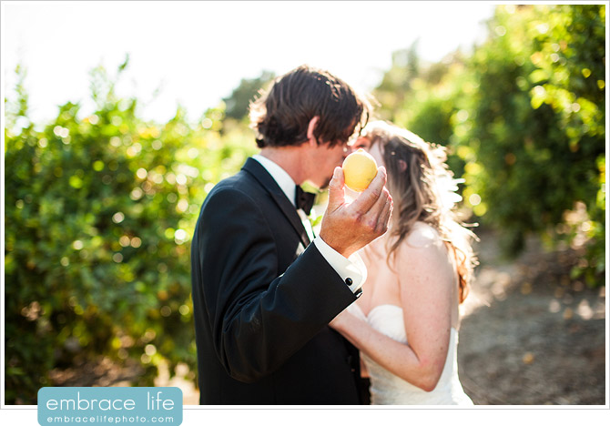 Hartley Botanica Wedding Photographer