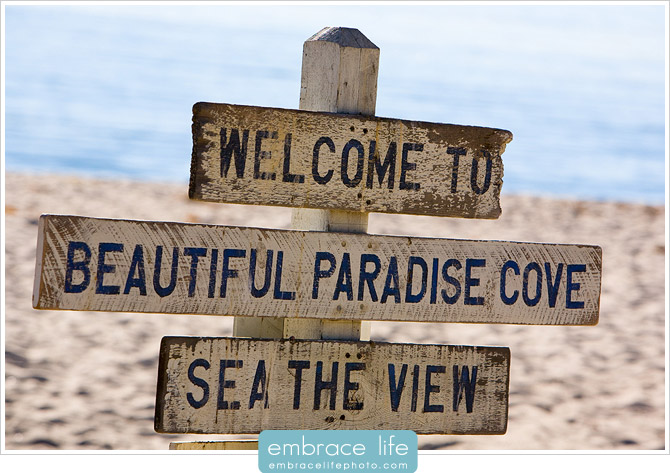 Malibu Proposal Photographer - 01