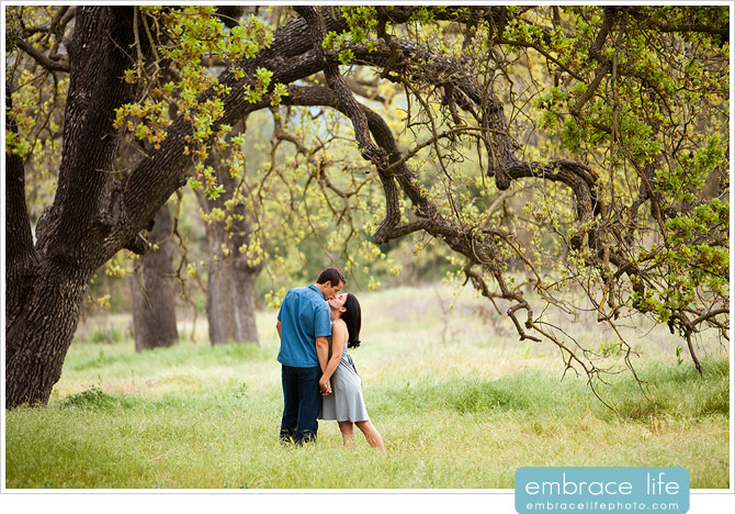 Agoura Hills Engagement Photographer - 10