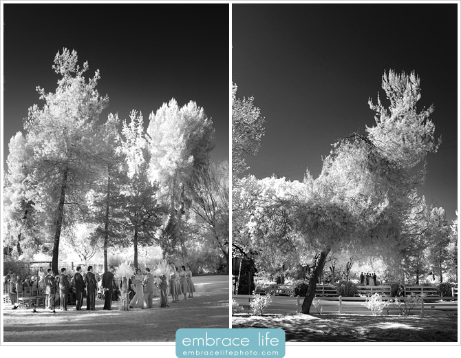 Malibou Lake Wedding 10