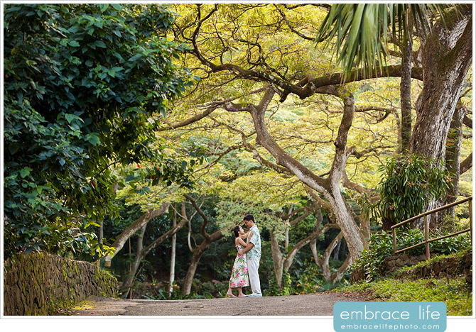 Hawaii Wedding Photographer - 03