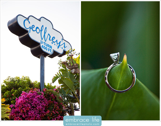 Malibu Proposal Photography