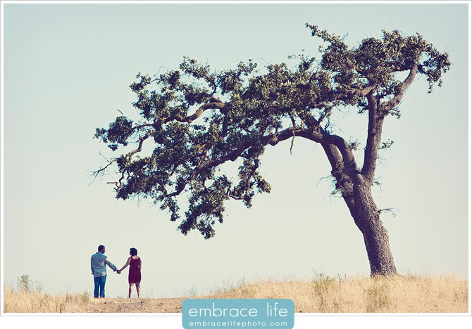 Agoura Hills Engagement Photos - 02