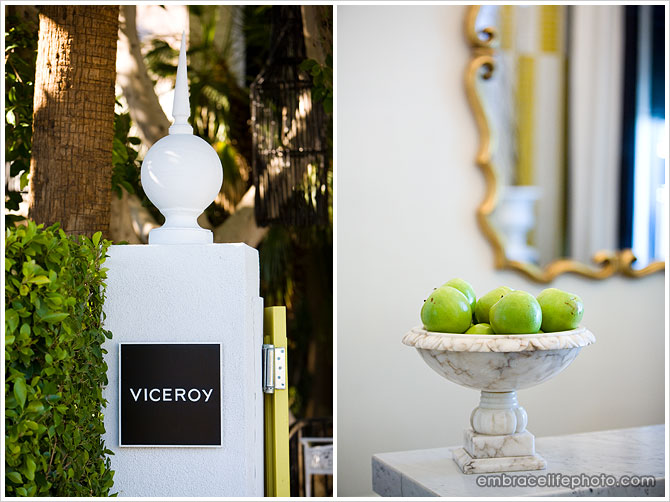 Viceroy Palm Springs photographer