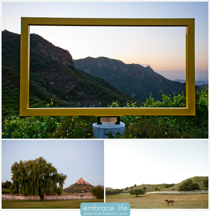 Saddlerock Ranch Wedding Photographer - 30