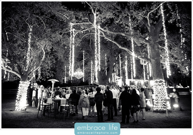 Saddlerock Ranch Wedding Photos - 33