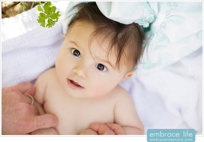 Westlake Family Portrait Photography - 05