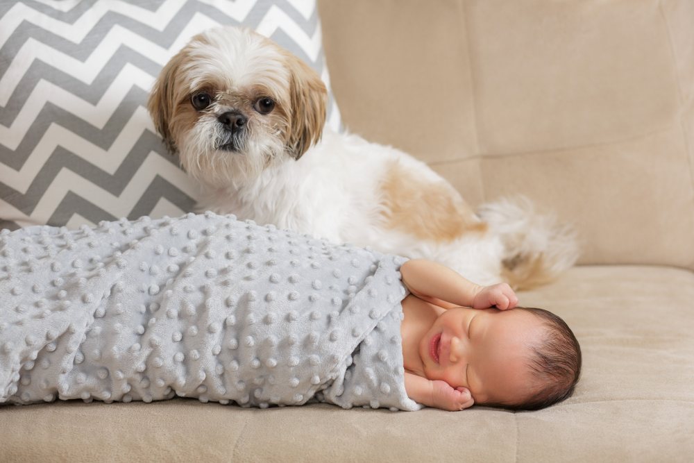 Maternity-and-Newborn-Portraits 18